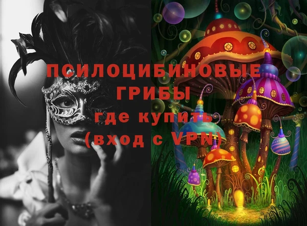 ПСИЛОЦИБИНОВЫЕ ГРИБЫ Волосово