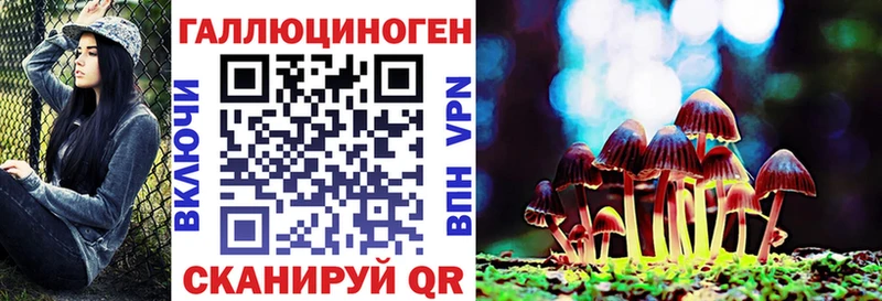 Купить закладки Первомайск Псилоцибиновые грибы Psilocybine cubensis